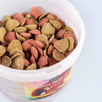 RAVENE HAPPY TREATS DUO 2KG