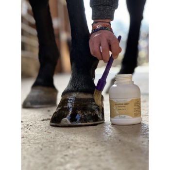 Huile pour sabot Nutri Pied