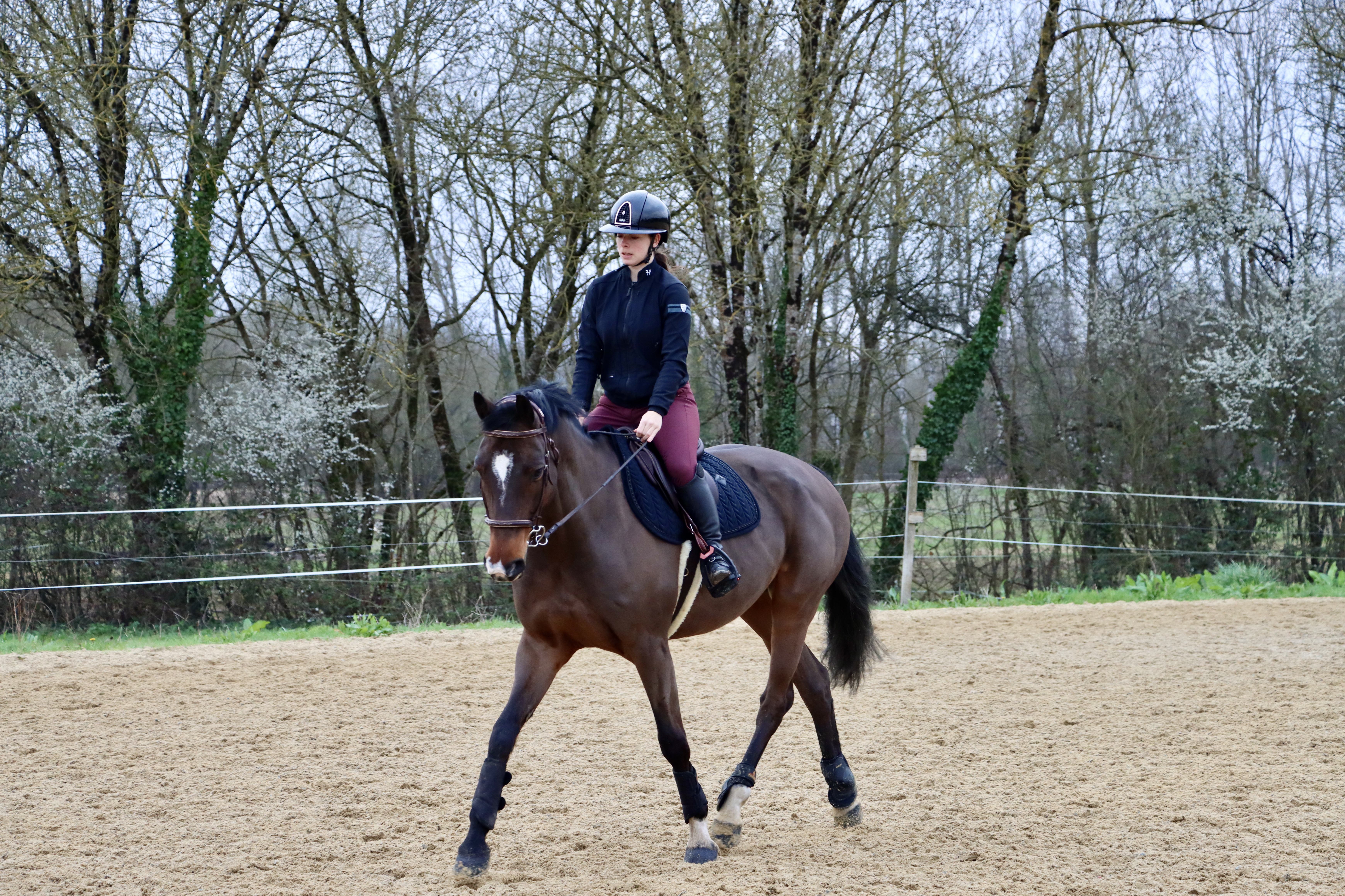 Formation à l'entraînement du cheval d'Endurance - AACIV