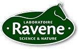 Ravene