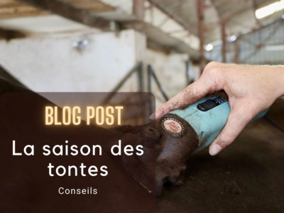 La saison des tontes commence !