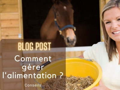 Comment gérer l'alimentation de son cheval ?