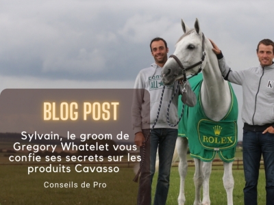 Sylvain, le groom de Gregory Whatelet, vous confie ses secrets sur Cavasso
