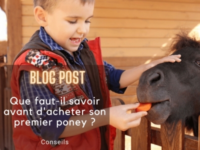 Que faut il savoir avant de devenir propriétaire d'un poney ?