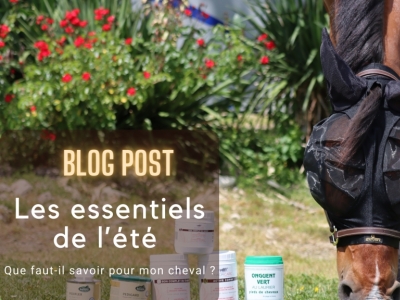 Les essentiels de l’été : Que faut-il savoir pour mon cheval ?