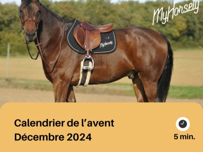 Calendrier de l'Avent 2024 - 3 lots pour presque 400€