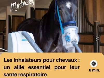 Les inhalateurs pour chevaux : un allié essentiel pour leur santé respiratoire