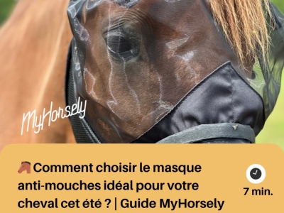 Comment choisir le masque anti-mouches idéal pour votre cheval cet été ? 