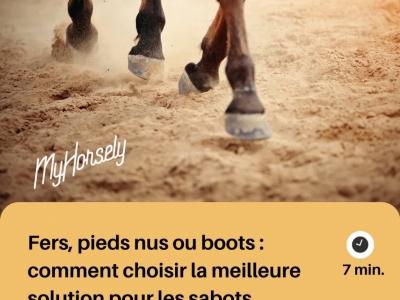 Fers, pieds nus ou boots : comment choisir la meilleure solution pour les sabots