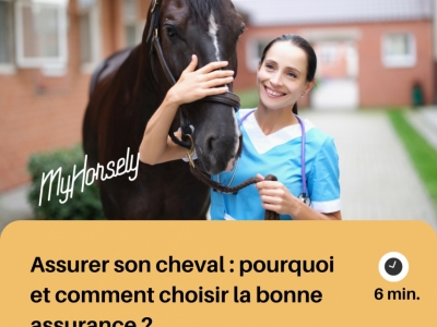 Assurer son cheval : pourquoi et comment choisir la bonne assurance ?