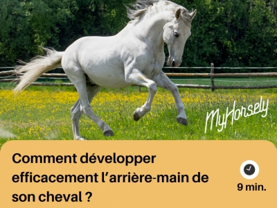 Comment développer efficacement l’arrière-main de son cheval ?
