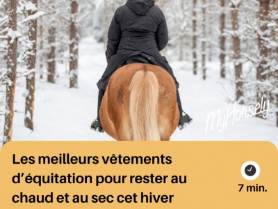 Les meilleurs vêtements d’équitation pour rester au chaud et au sec cet hiver : 
