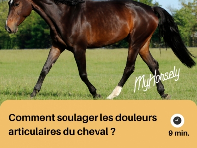 Comment soulager les douleurs articulaires du cheval ? 
