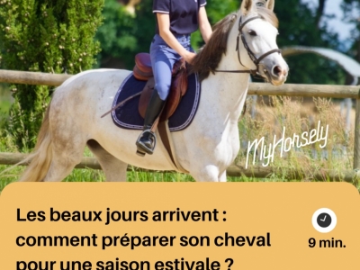 Les beaux jours arrivent : comment préparer son cheval pour une saison estivale 