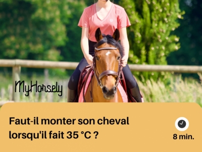 Faut-il monter son cheval lorsqu'il fait 35 °C ? 